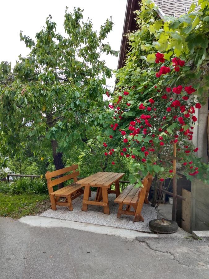Pr' Hribar Zgornje Gorje Exterior foto