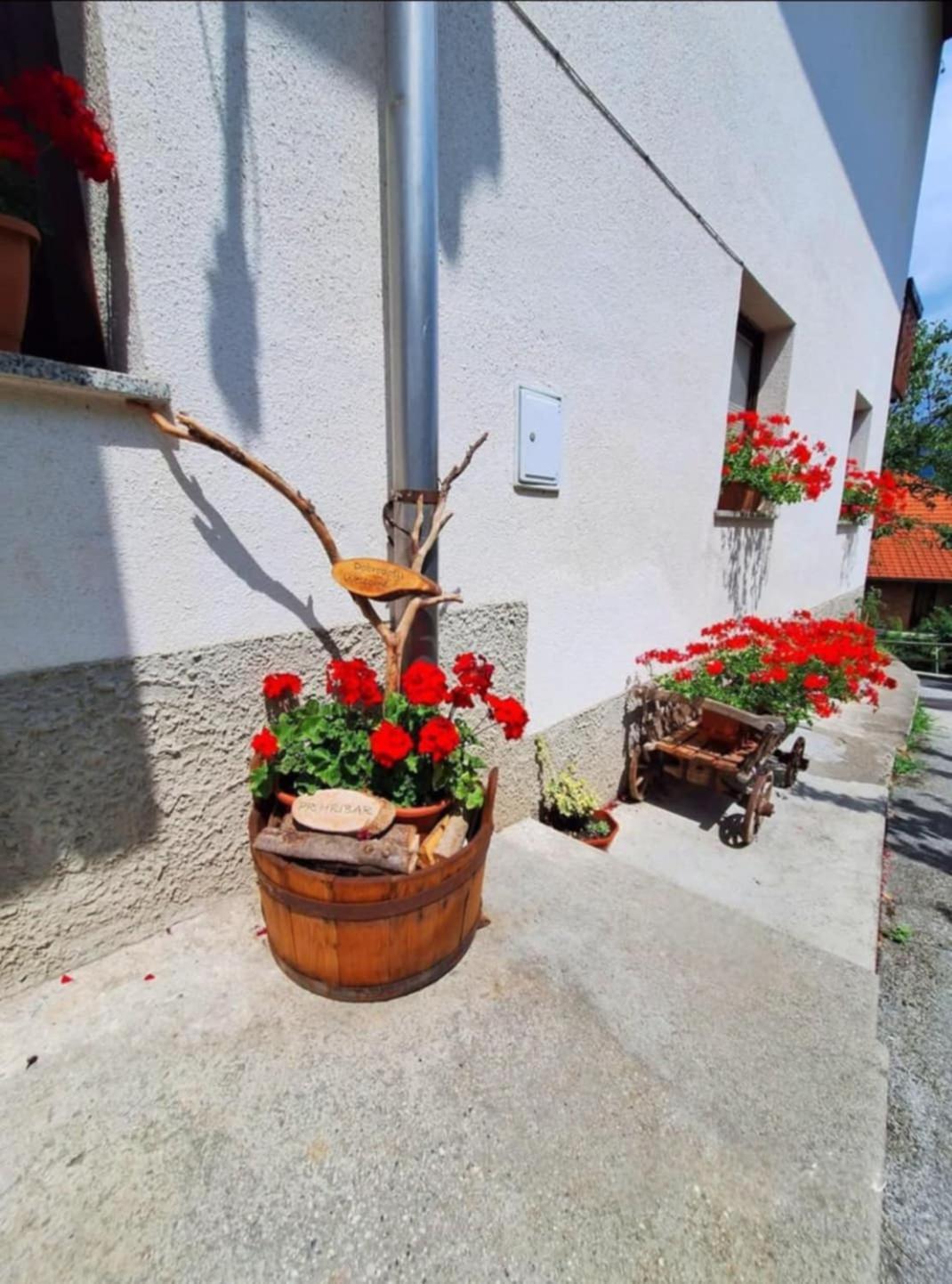 Pr' Hribar Zgornje Gorje Exterior foto